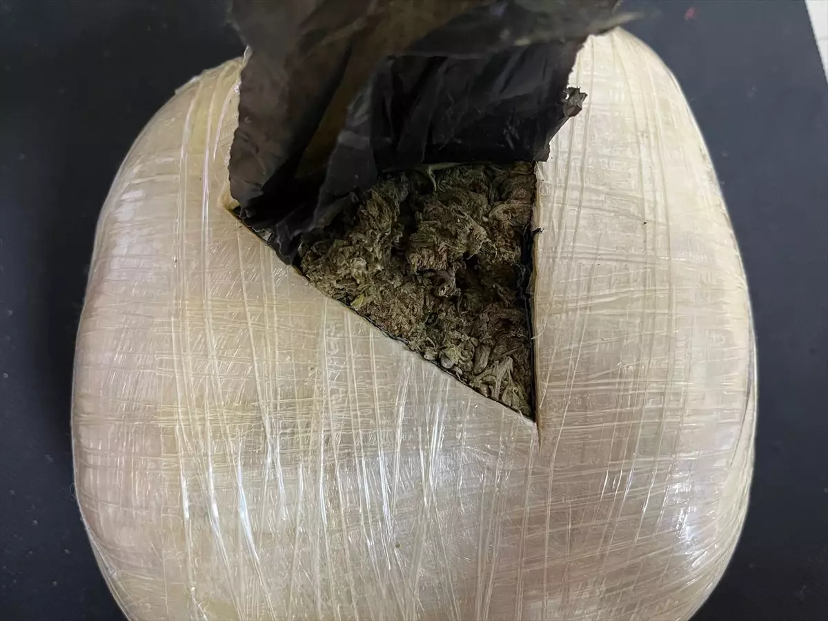 Düzce\'de düzenlenen uyuşturucu operasyonunda tutuklama