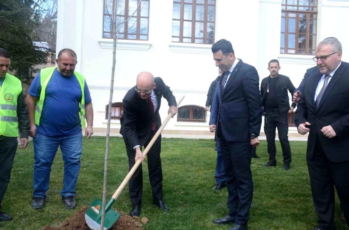 Hazine ve Maliye Bakanı Mehmet Şimşek Bilecik\'te çınar fidesi dikti