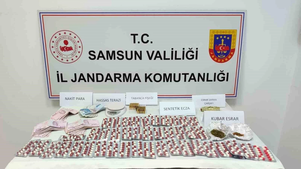 Samsun\'da jandarma operasyonu: 2 kişi gözaltına alındı