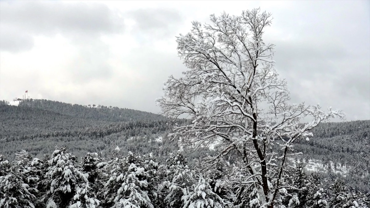 Ardahan, Erzurum ve Kars\'ta kar yağışı ile soğuk hava etkili