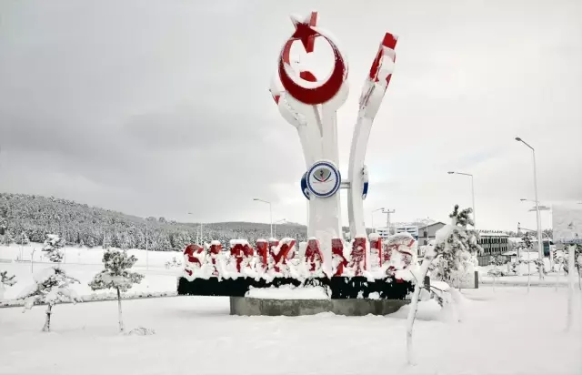 Ardahan, Erzurum ve Kars'ta Kar Yağışı ve Soğuk Hava Etkili