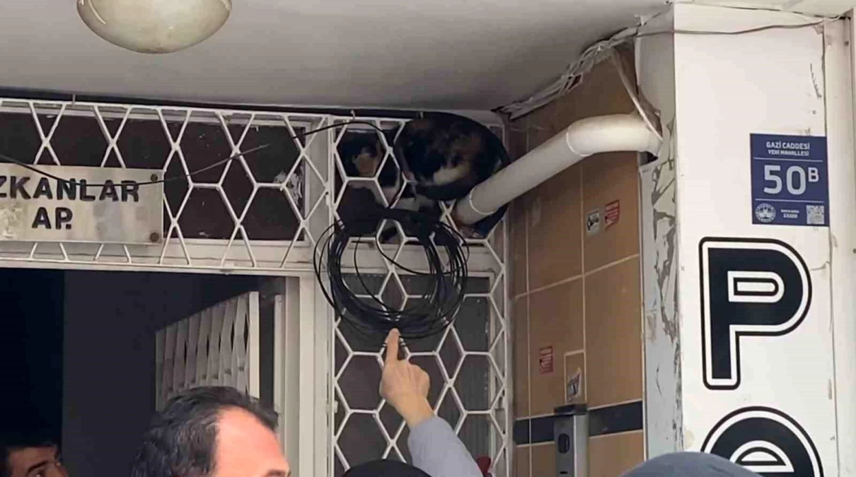 Elazığ\'da Sıkışan Kedi İtfaiye Ekipleri Tarafından Kurtarıldı