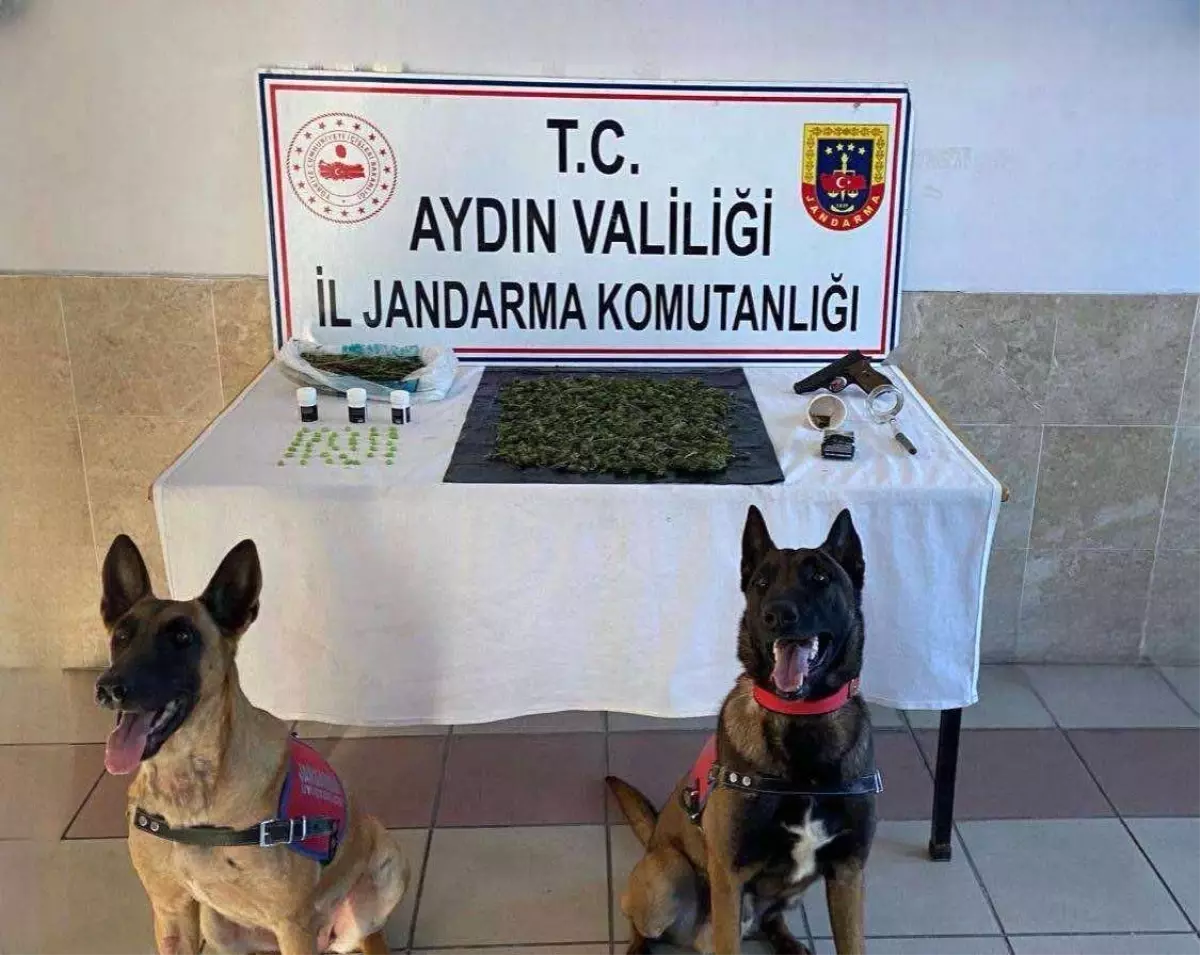 Aydın Nazilli\'de Uyuşturucu Operasyonu: 2 Gözaltı