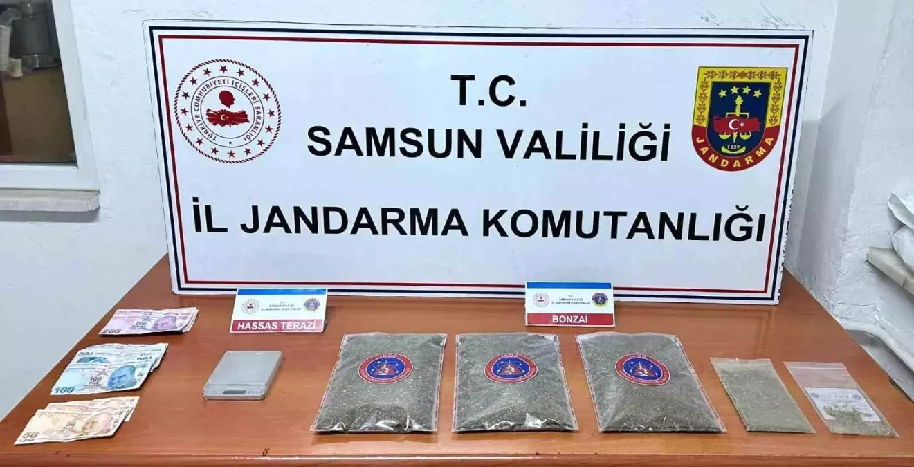 Samsun\'da 1 Kilo 50 Gram Bonzai Ele Geçirildi