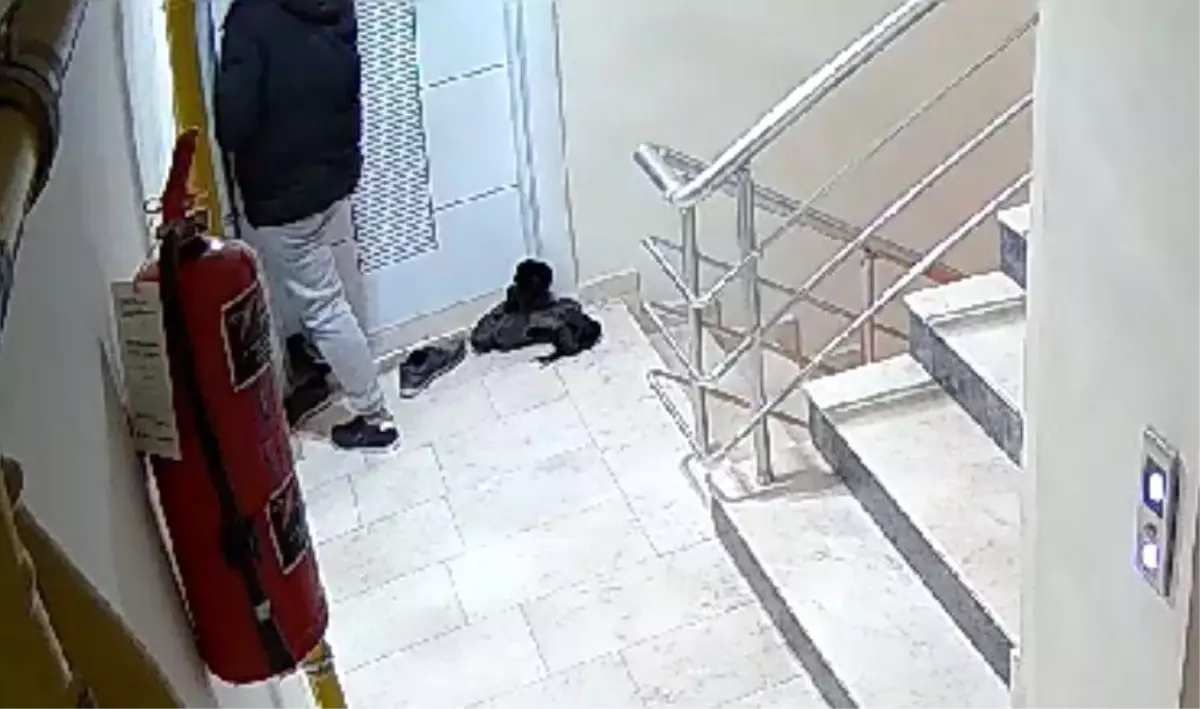 Eskişehir\'de Apartmanlara Giren Hırsızlık Şüphelileri Kameralara Yakalandı