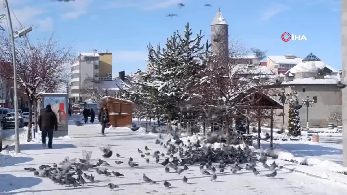 Aç kalan güvercinleri esnaf ve vatandaş besliyor