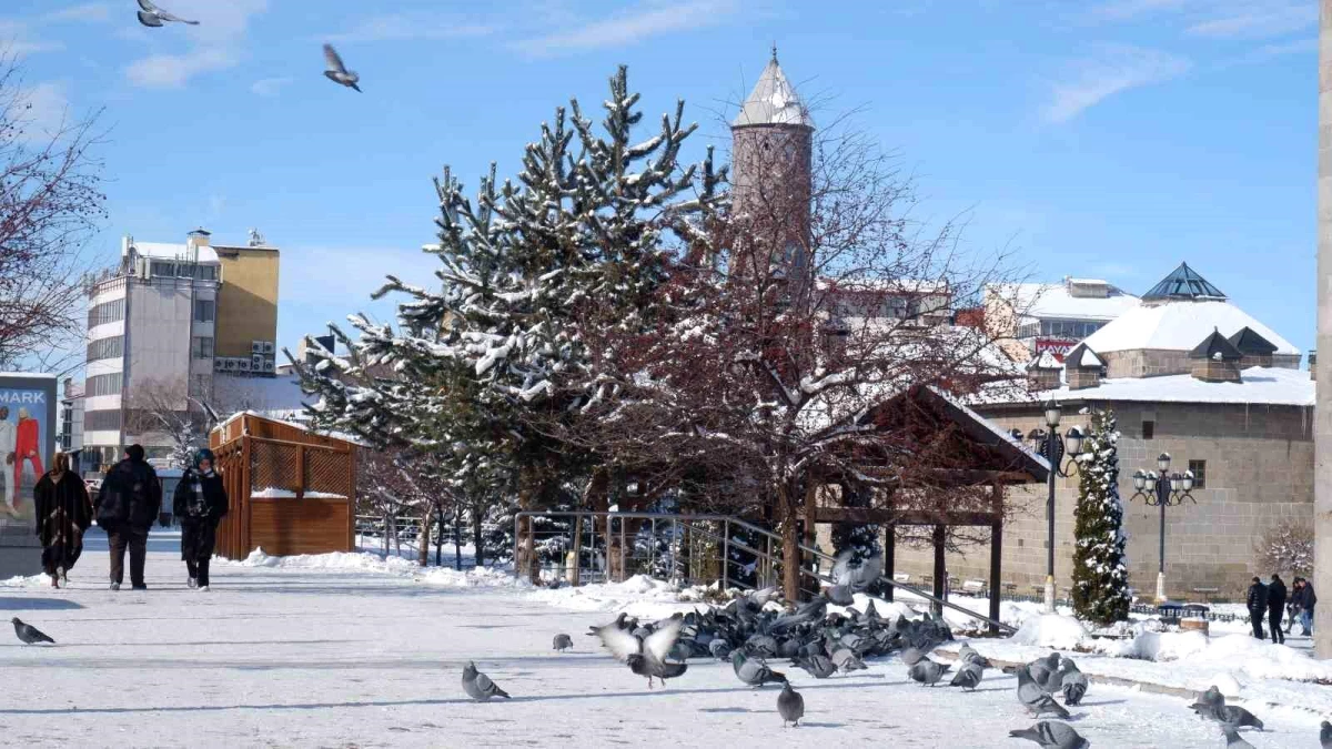 Erzurum\'da Esnaf ve Vatandaşlar Güvercinleri Besliyor