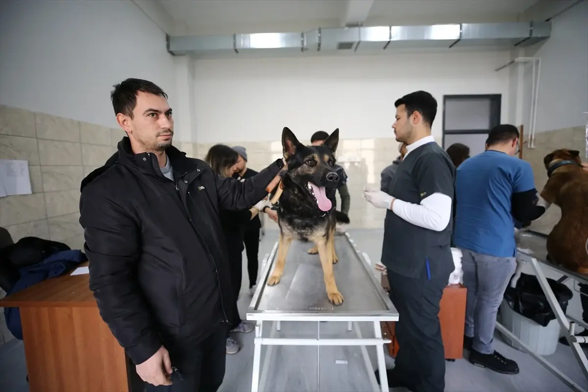 Bingöl Üniversitesi Hayvan Hastanesi, Dedektör Köpeklerin Sağlık Kontrolünü Yapıyor