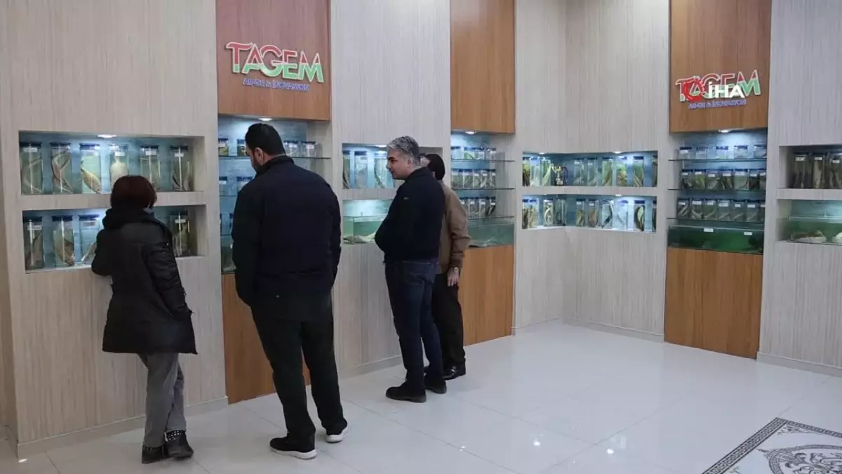 Elazığ\'daki \'Balık Müzesi\' büyük ilgi görüyor