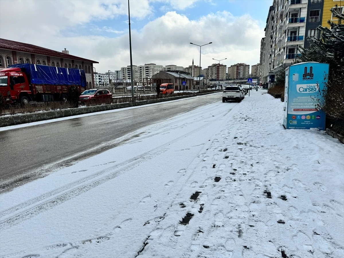 Erzurum, Ardahan ve Kars\'ta kar yağışı ve soğuk hava etkili