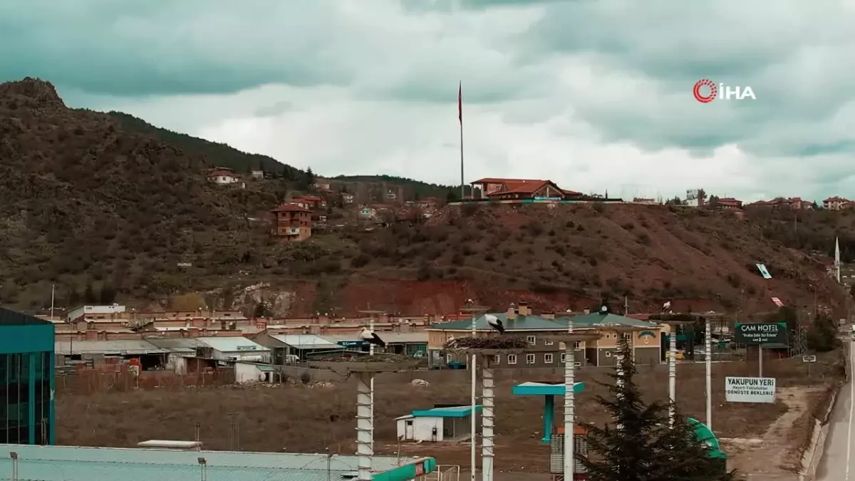 Leylek Apartmanı sakinleri yuvaya erken döndü