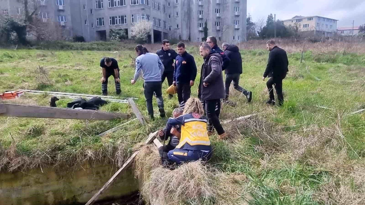 Sinop\'ta sulama kanalına düşen köpeği kurtarmaya giden vatandaş boğulma tehlikesi geçirdi