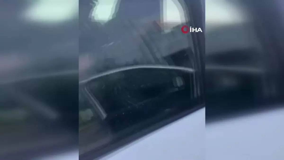 Hafif ticari araçtan 1\'i kadın 8 kaçak göçmen çıktı