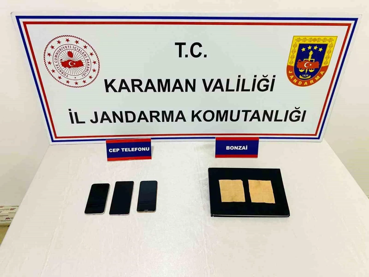 Karaman\'da Kağıda Emdirilmiş Bonzai Operasyonu: 2 Tutuklama