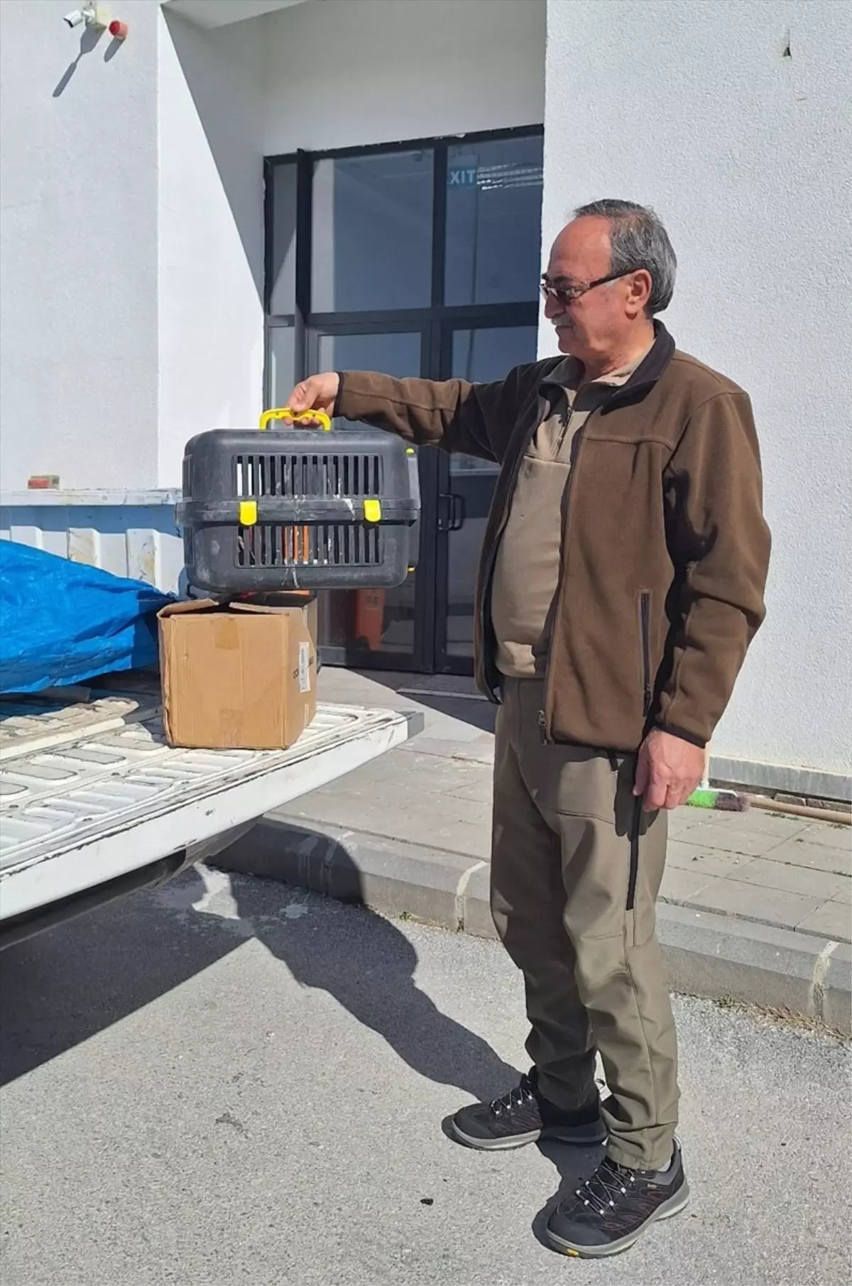 Kayseri\'de yaralı halde bulunan kulaklı orman baykuşu tedavi altına alındı