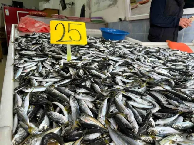 Rize'de İstavrit Fiyatı Düşünce Kuyruk Oluştu Rize'de İstavrit Fiyatı Düşünce Kuyruk Oluştu