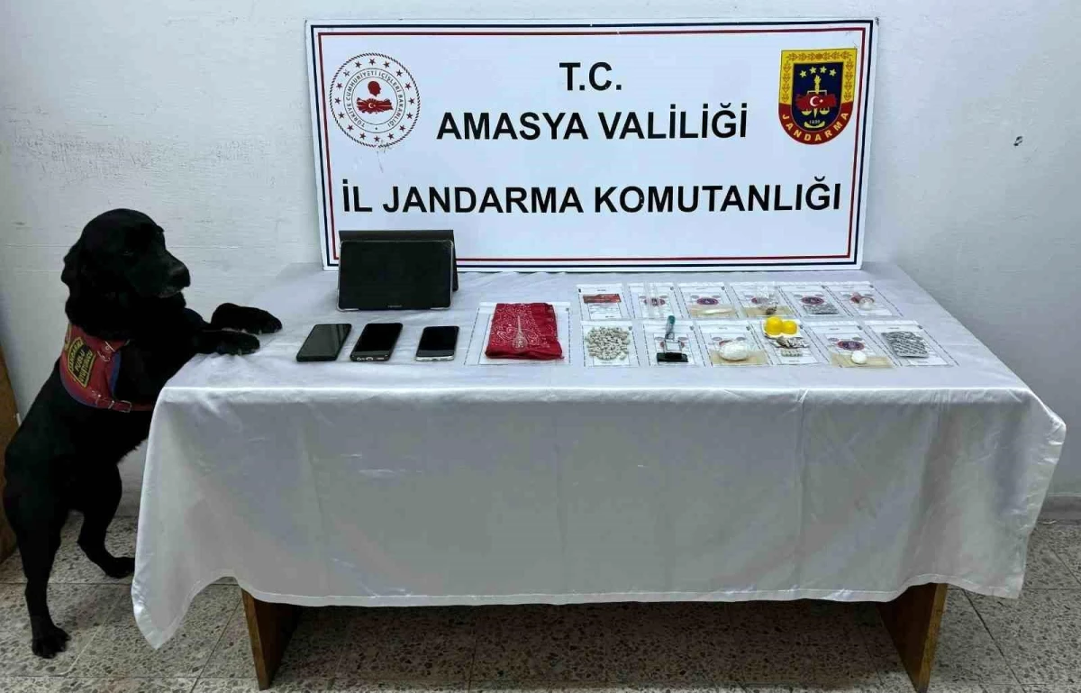 Amasya\'da yapılan aramada uyuşturucu bulunan araçta 4 kişi tutuklandı