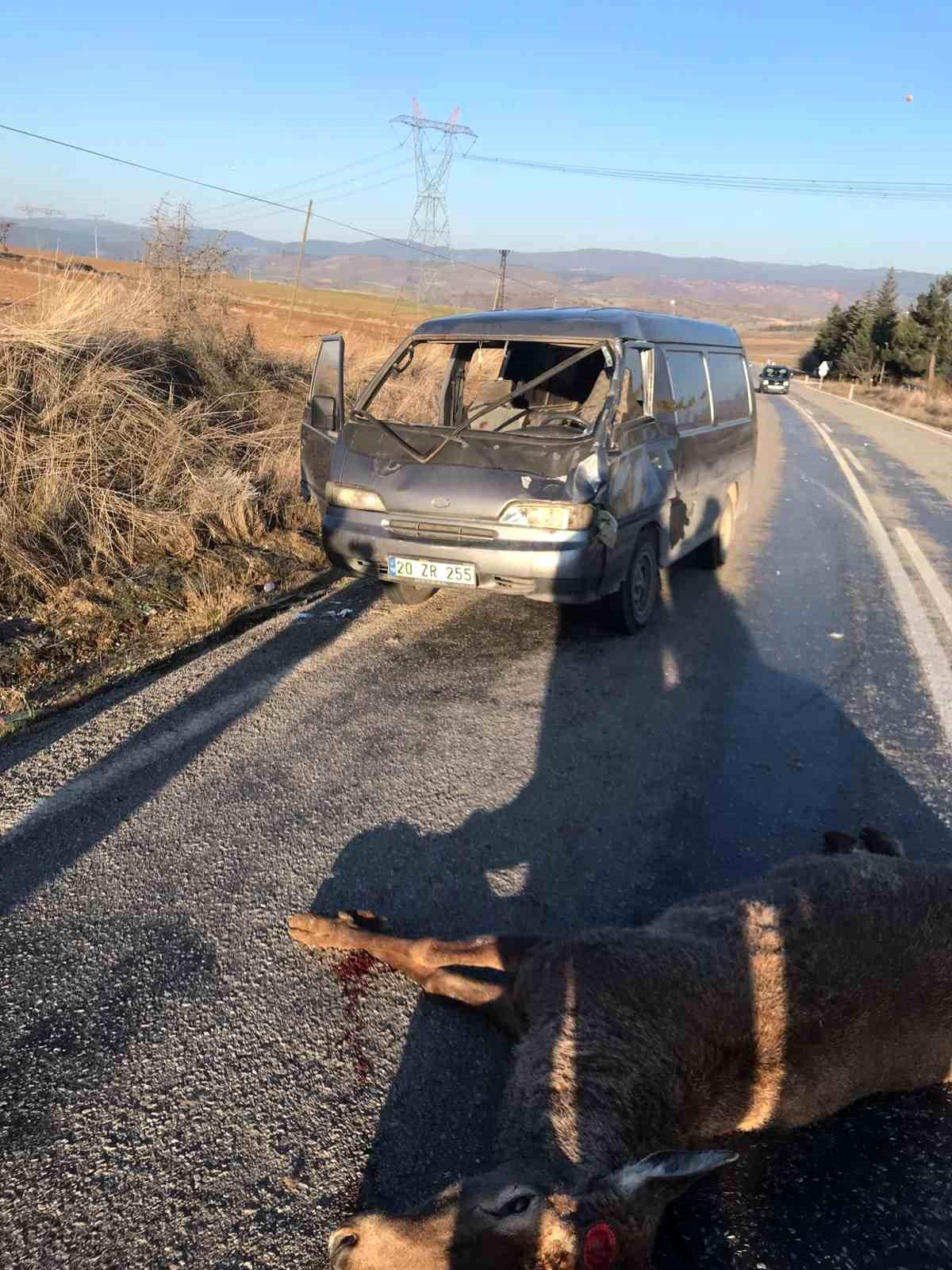 Afyonkarahisar\'da Geyiğe Çarpan Minibüste 2 Kişi Yaralandı