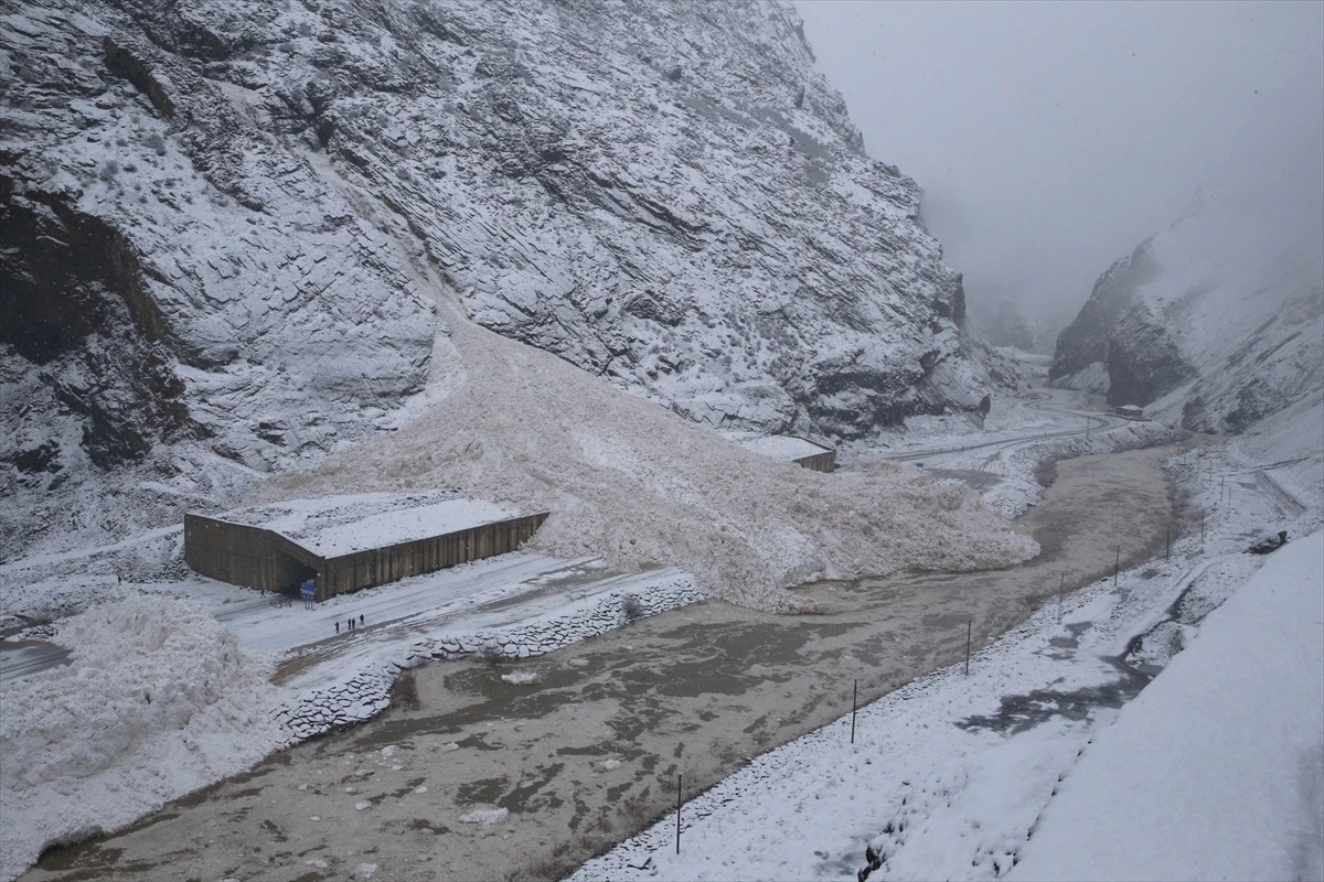 Hakkari-Çukurca kara yolu çığ nedeniyle kapandı