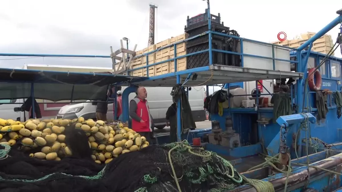 Mersinli balıkçılar 'balon balığı avcılığına yönelik teşvik'ten memnun