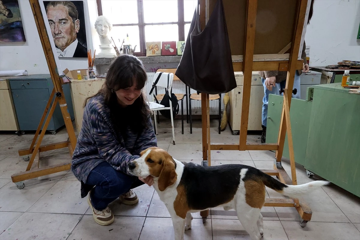 Trakya Üniversitesi Güzel Sanatlar Fakültesi\'nde Kedi ve Köpekler Öğrencilere Neşe Saçıyor