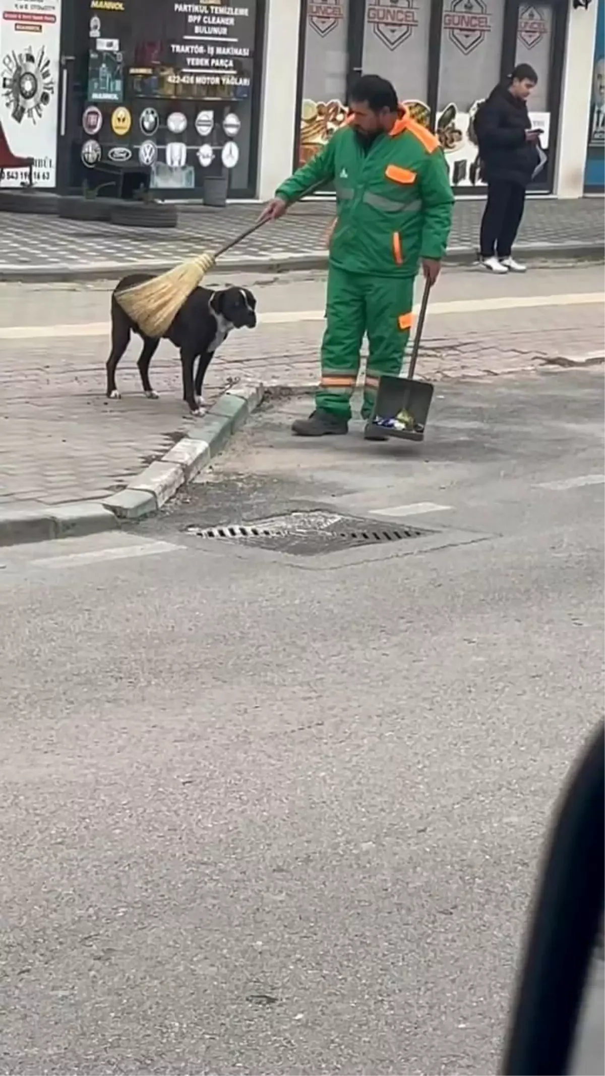 Bursa\'da Temizlik Görevlisi Sokak Köpeğini Temizledi