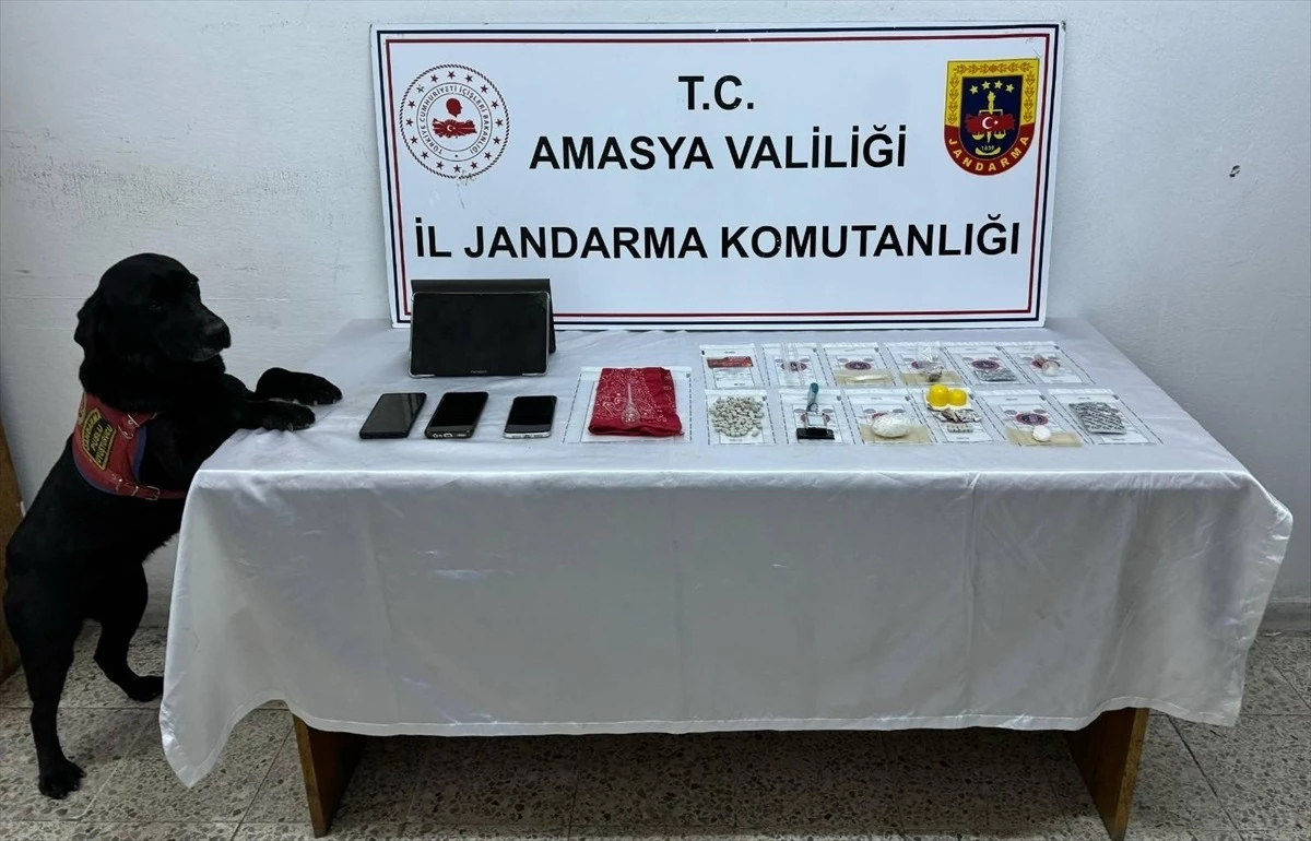 Amasya\'da düzenlenen uyuşturucu operasyonunda 4 şüpheli tutuklandı