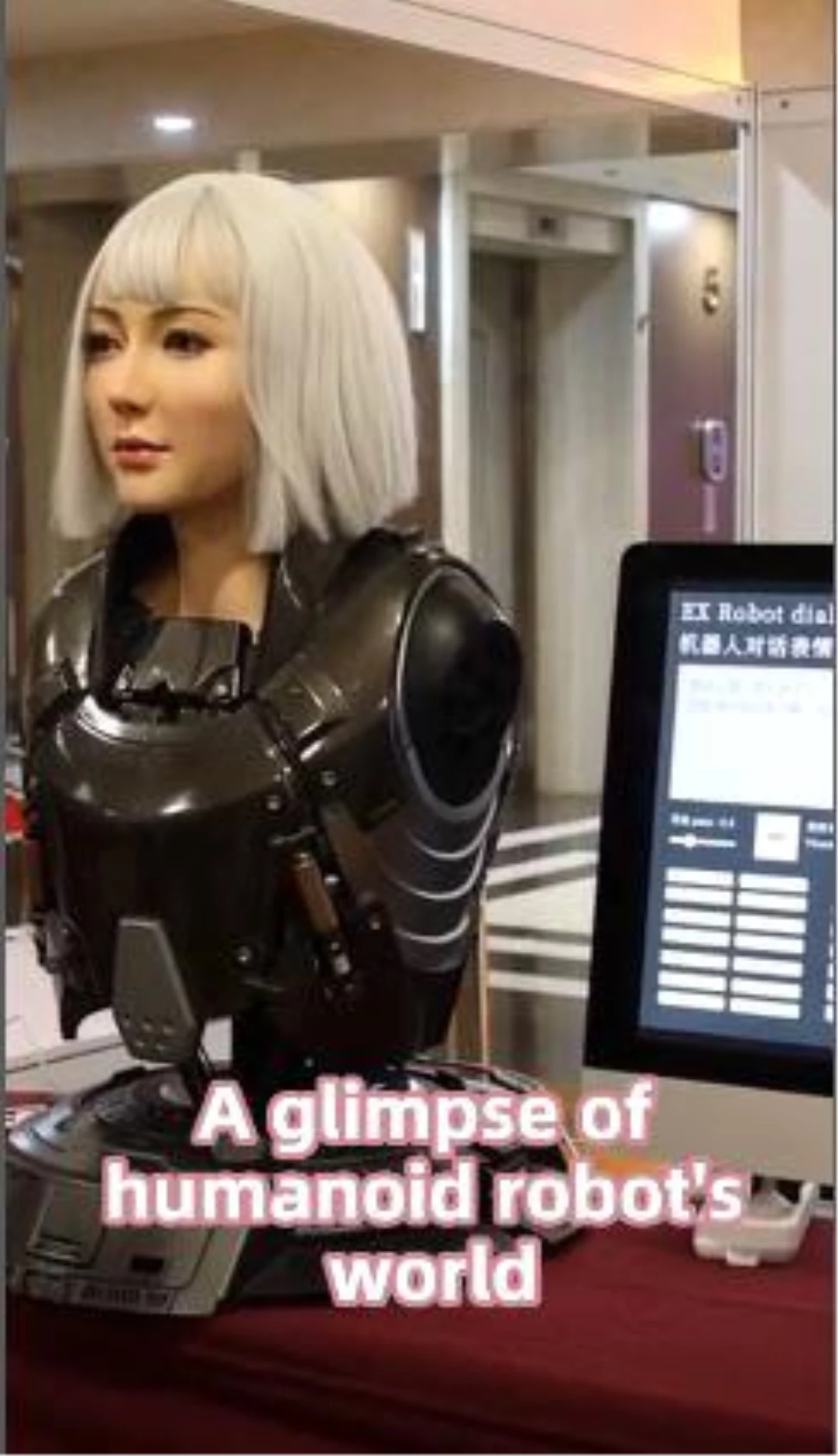 Beijing\'deki İnsansı Robot Yarışmasında Sergilenen Robotlar