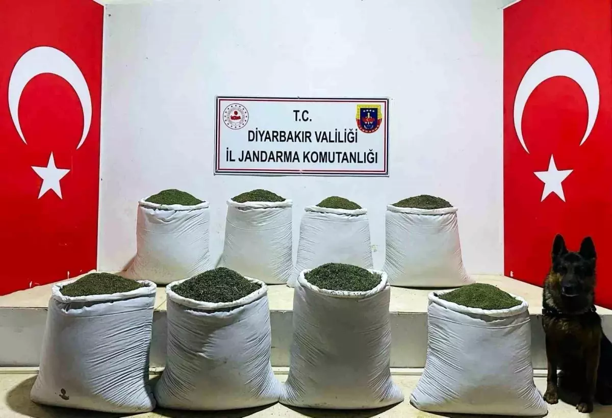 Diyarbakır Lice\'de 169 Kilo Toz Esrar Ele Geçirildi