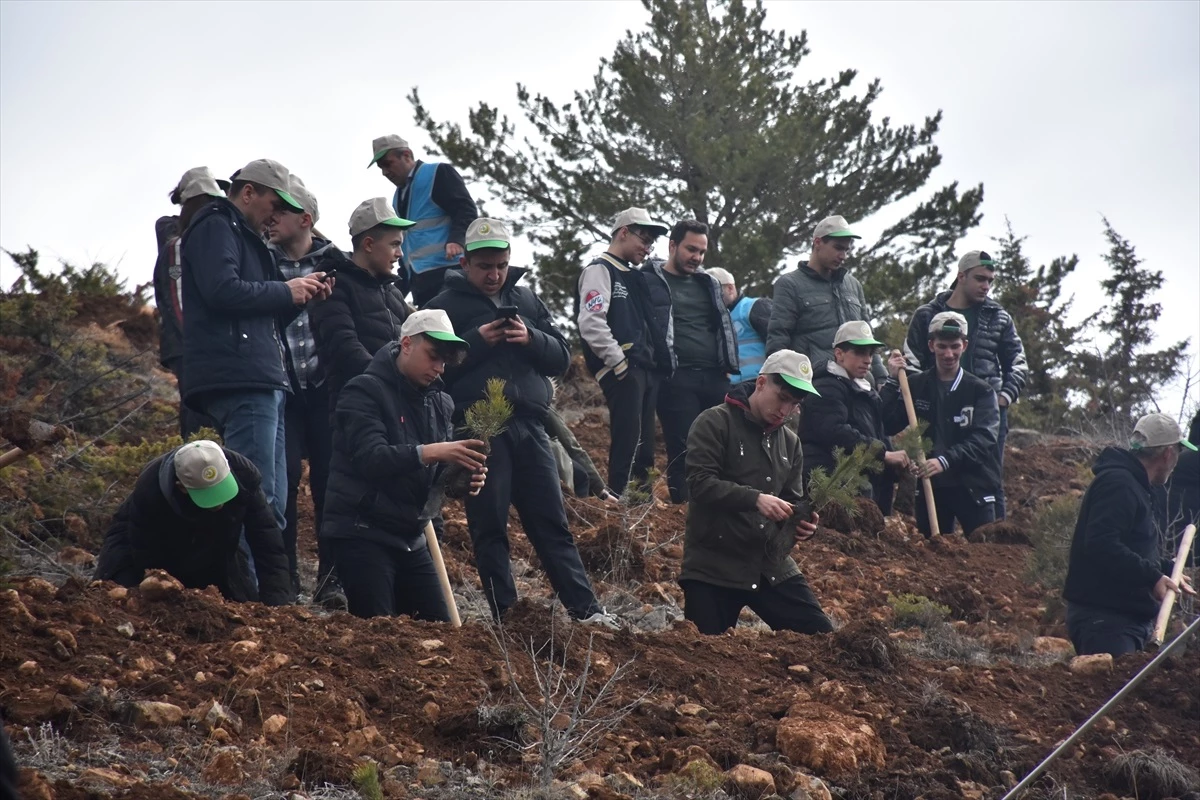 Gümüşhane\'de 3 Bin Fidan Dikildi: Orman Haftası Etkinlikleri