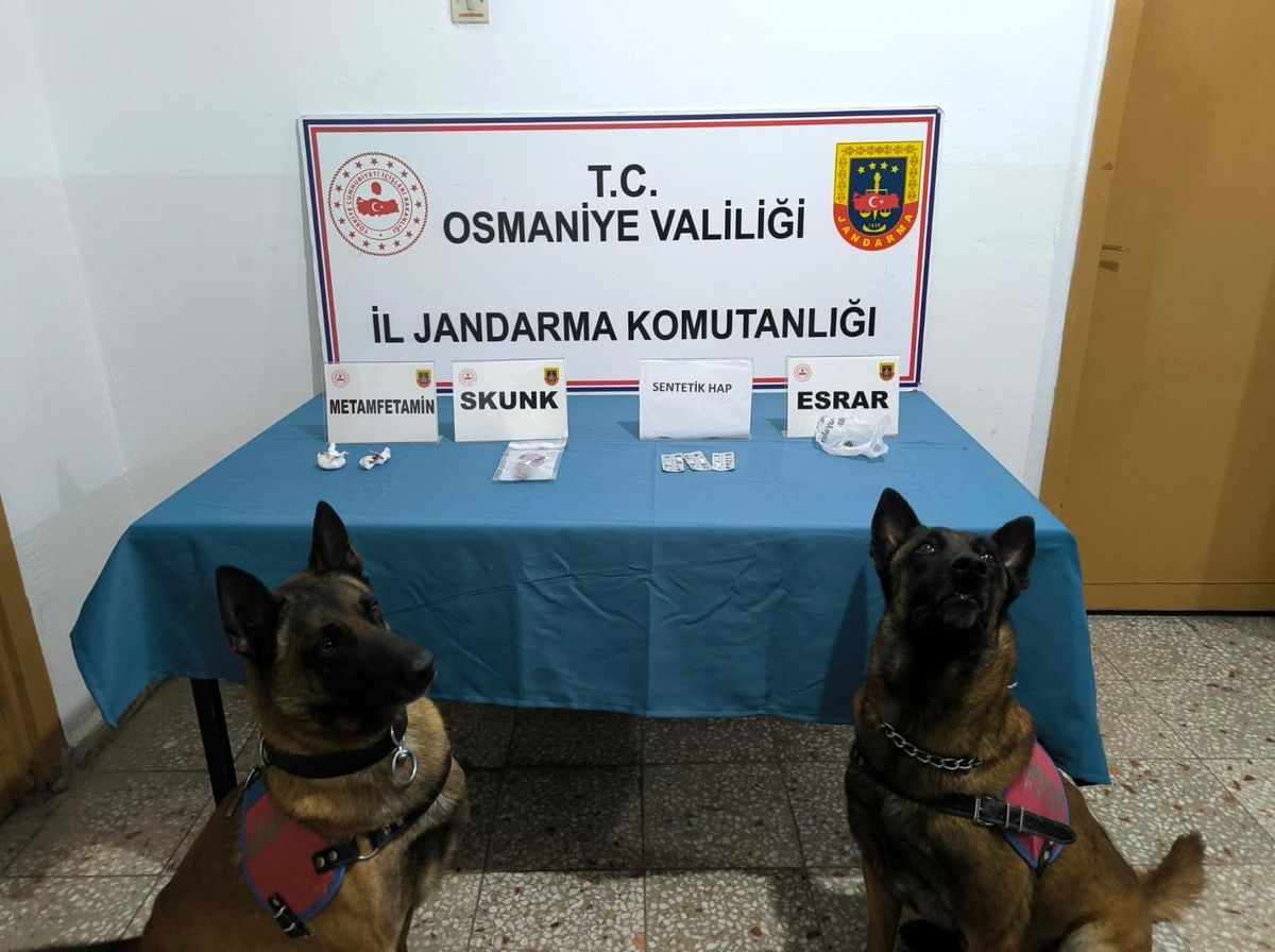 Osmaniye\'de yapılan operasyonlarda 22 şüpheli gözaltına alındı