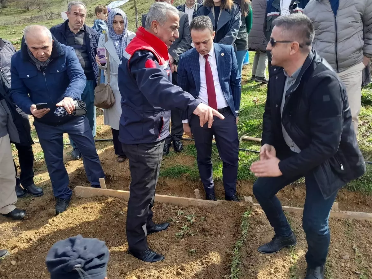 Salep yetiştiricisi adaylarına uygulamalı eğitim verildi