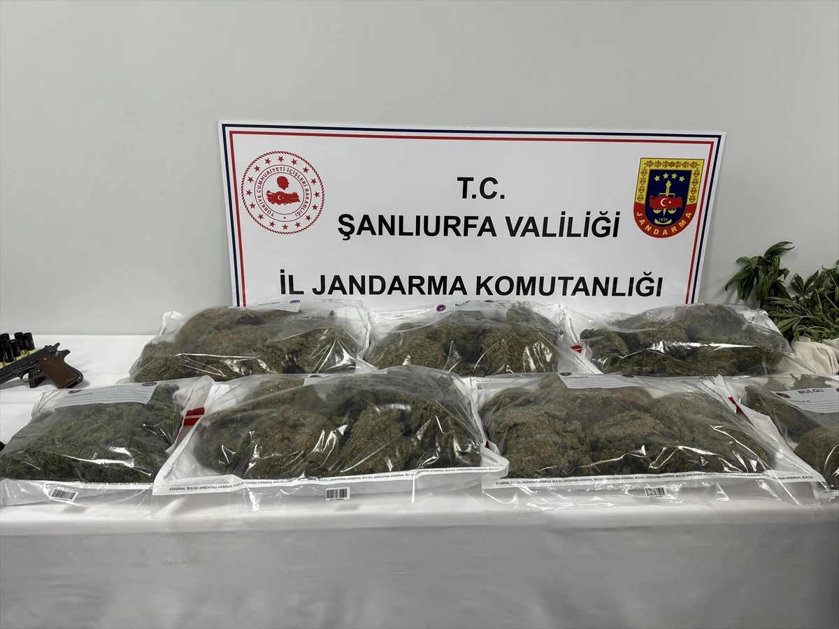 Şanlıurfa\'da Torbacılara Operasyon: 36 Gözaltı