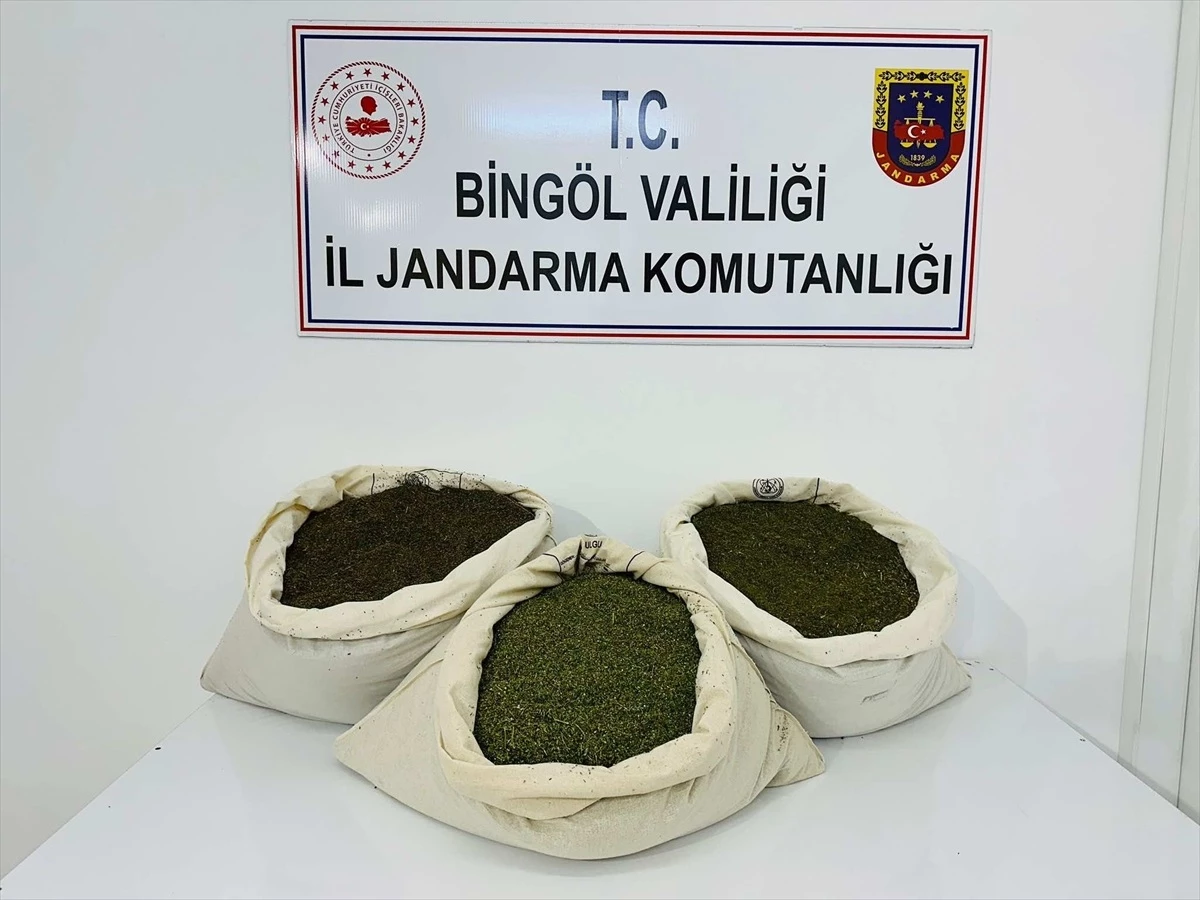 Bingöl\'ün Genç ilçesinde 34 kilo 700 gram esrar ele geçirildi