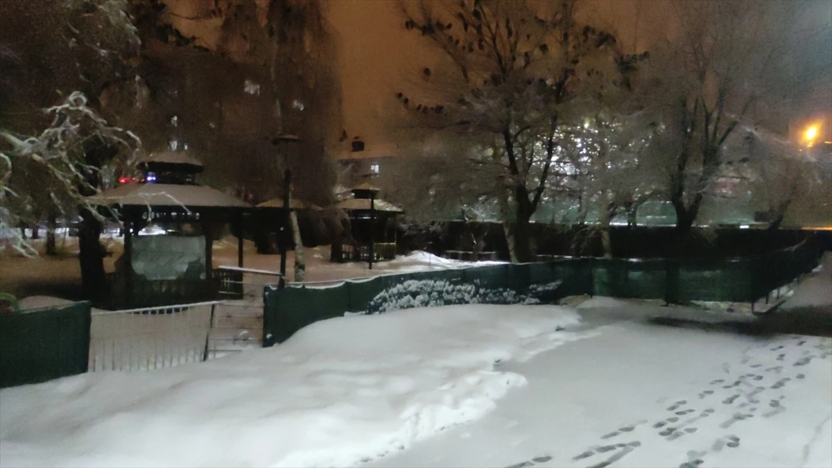 Bingöl\'ün Karlıova ilçesinde kar yağışı etkili oldu