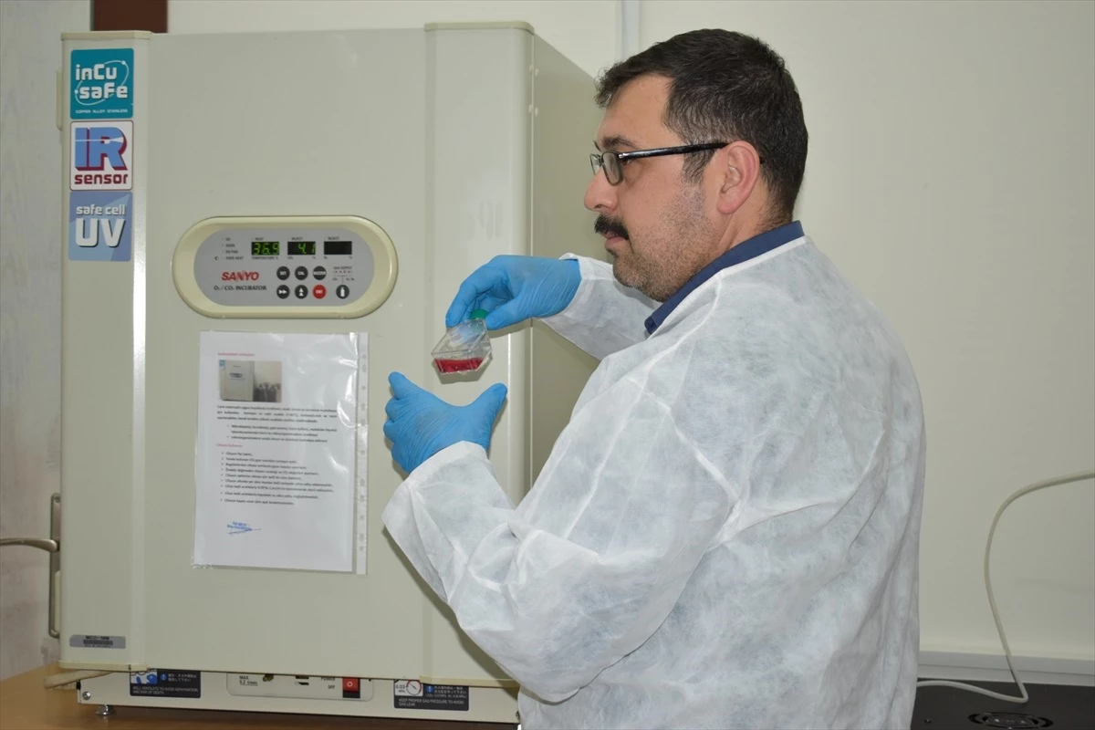 Bitlis Eren Üniversitesi\'nde Kanser İlaçları Araştırılan Laboratuvar Açıldı