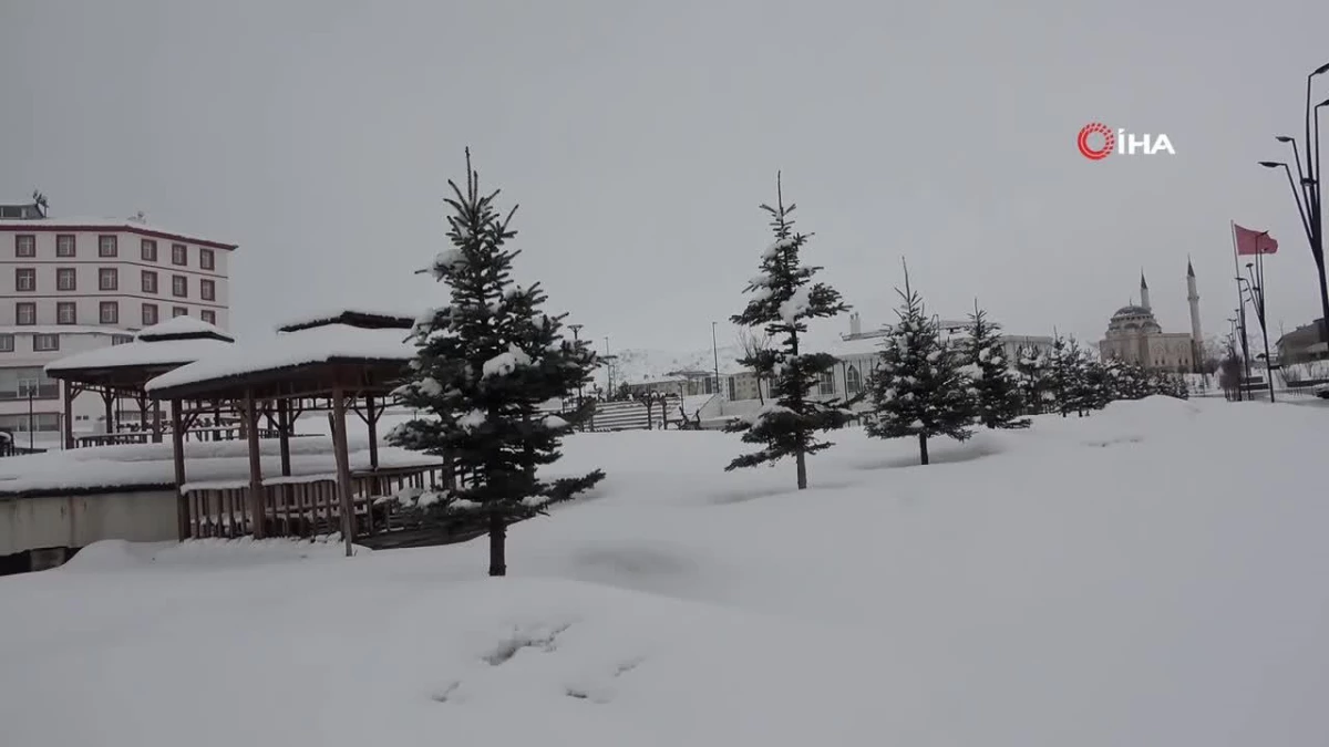 Bitlis\'te kar yağışı: 4 köy yolu ulaşıma kapandı