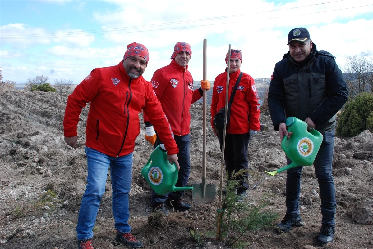 Eskişehir\'de 21 Mart Dünya Ormancılık Günü\'nde 8 bin fidan toprakla buluştu