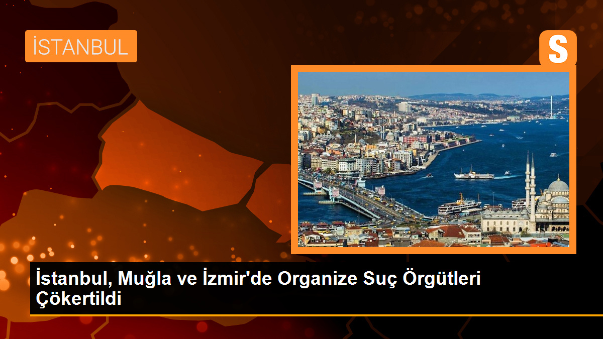 İstanbul, Muğla ve İzmir\'de 3 ayrı organize suç örgütü çökertildi