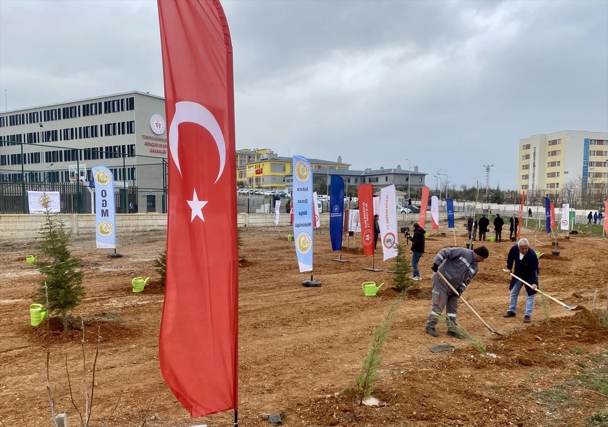 Kırşehir Valiliği tarafından başlatılan Bozkır Yeşeriyor Bir Doğa Hareketi Projesi kapsamında ilk fidanlar dikildi