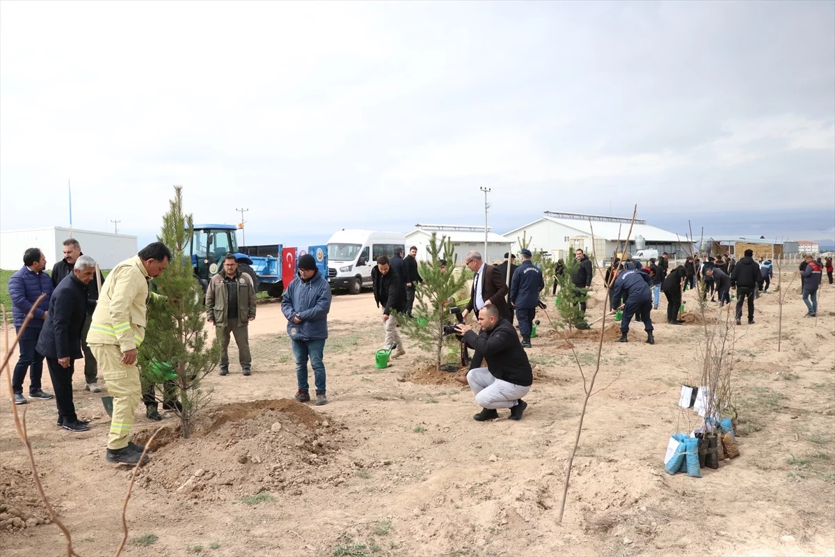 Niğde Ömer Halisdemir Üniversitesinde bal ormanı kurulumu gerçekleştirildi