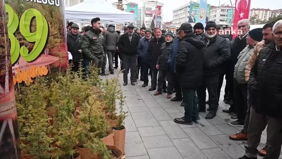 Yozgat Orman İşletme Müdürlüğü, Orman Haftası\'nda 30 Bin Çam Fidanı Dağıttı