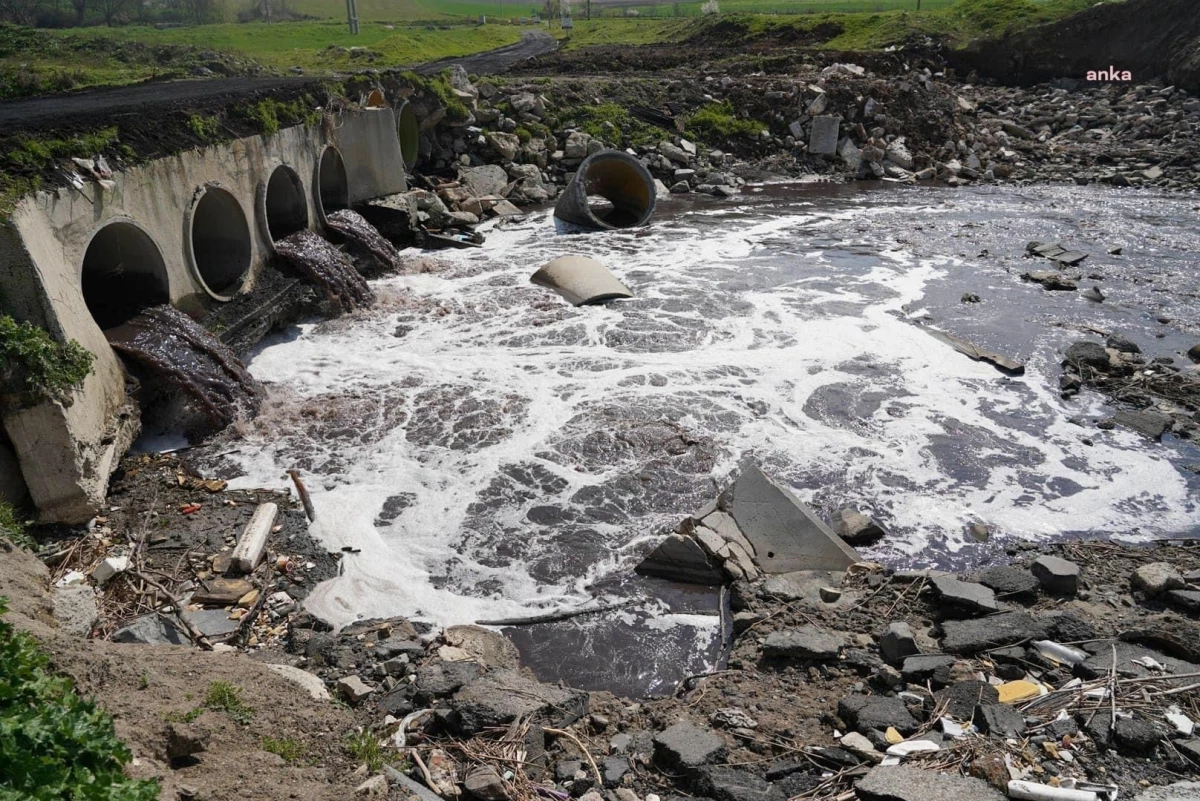 CHP ve çevre örgütleri Ergene Nehri\'ndeki kirliliğe dikkat çekti