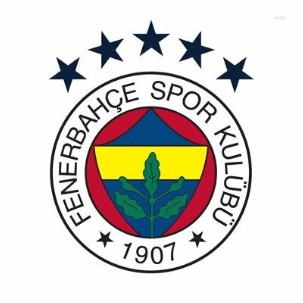 Fenerbahçe, AKP\'li Ahmet Metin Genç hakkında suç duyurusunda bulundu