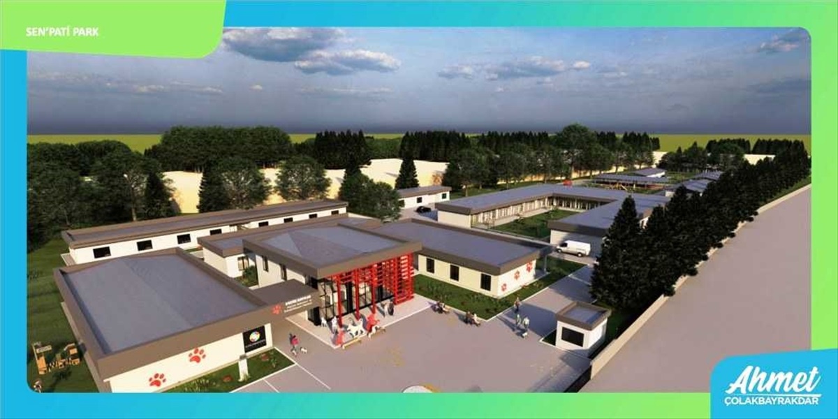 Kocasinan Belediyesi, sahipsiz hayvanlar için yeni yaşam alanı oluşturacak