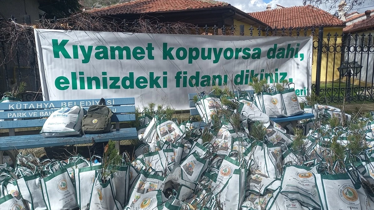 Kütahya Orman Bölge Müdürlüğü Orman Haftası\'nda ücretsiz fidan dağıttı