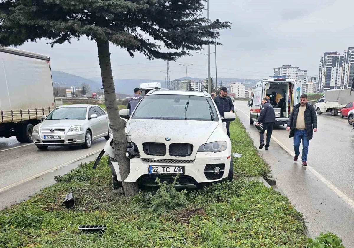 Samsun\'da otomobilin refüjdeki ağaca çarptığı kazada sürücü yaralandı