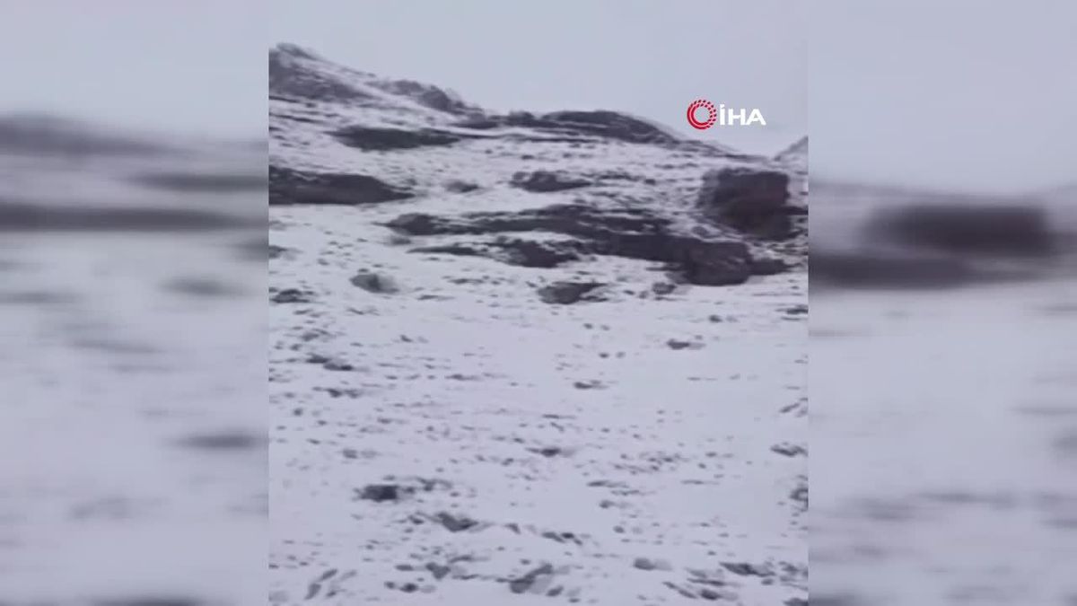 Van-Bahçesaray yoluna çığ düştü