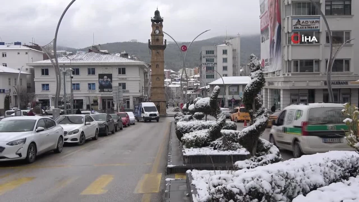 Yozgat\'ta erken çiçek açan badem ağaçları kar altında kaldı