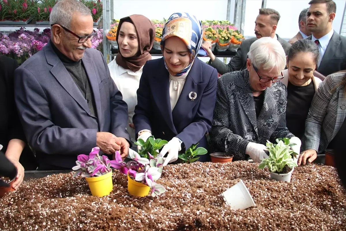 Aile ve Sosyal Hizmetler Bakanı Göktaş, Adana\'daki huzurevlerinde çiçek dikti